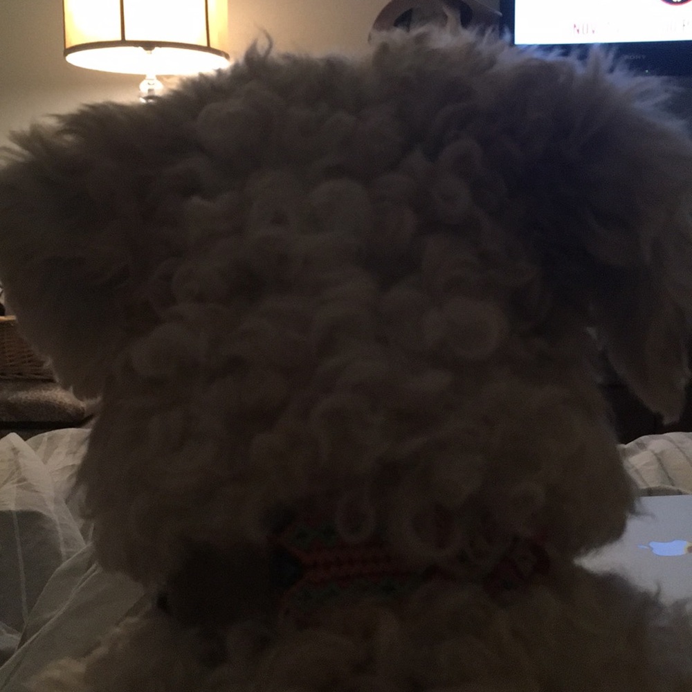 Meet your Posher, Kim